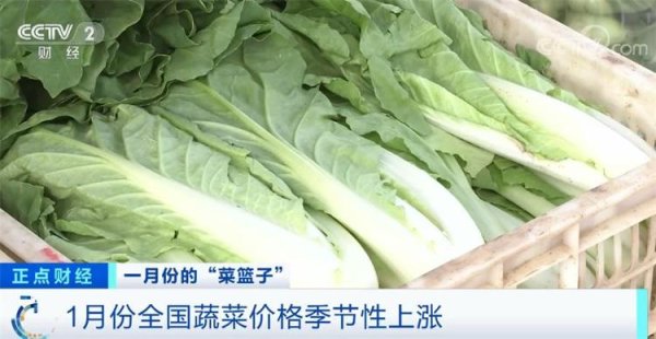 金富宝配资 关注“菜篮子”生产供应 节后部分蔬菜品种价格下行