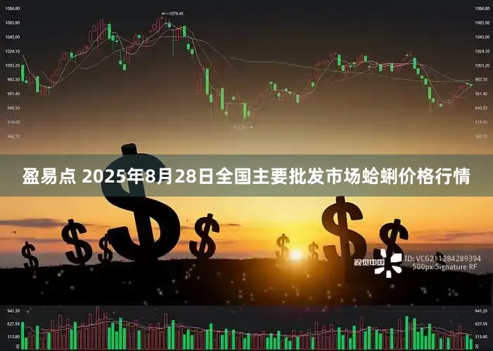 盈易点 2025年8月28日全国主要批发市场蛤蜊价格行情